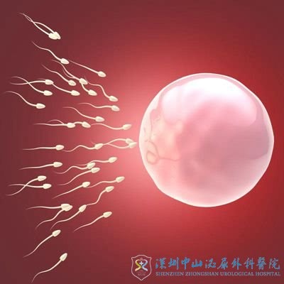 南京送子鸟医院做借卵试管多少钱